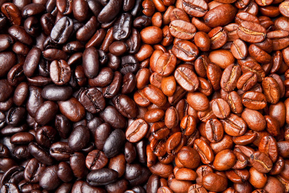 light roast vs dark roast coffee beans