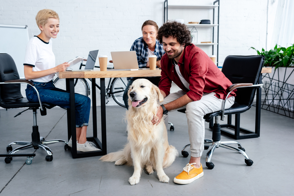 employees playing with dog at work